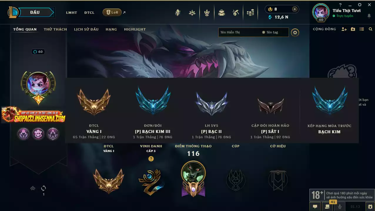 Ảnh ( 5 HH) 3 Pet Tím ( IRELIA + LUX + WARWICK) -  3 Tí Nị Thường (Jinx Yone AShe ) + Poro Coslay Yone + Shiro  Kuro Cao Bồi - Nhiều Pet Khác + Nhiều Chưởng Lực + Sàn Đấu + Cổng Dịch Chuyển